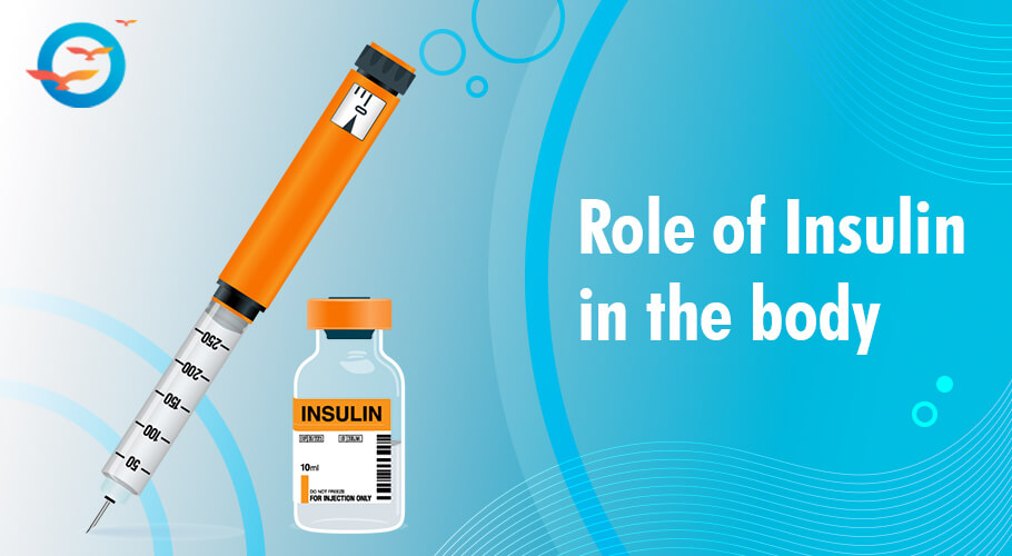 Understanding Insulin: Key to Diabetes Management - Freedom from Diabetes