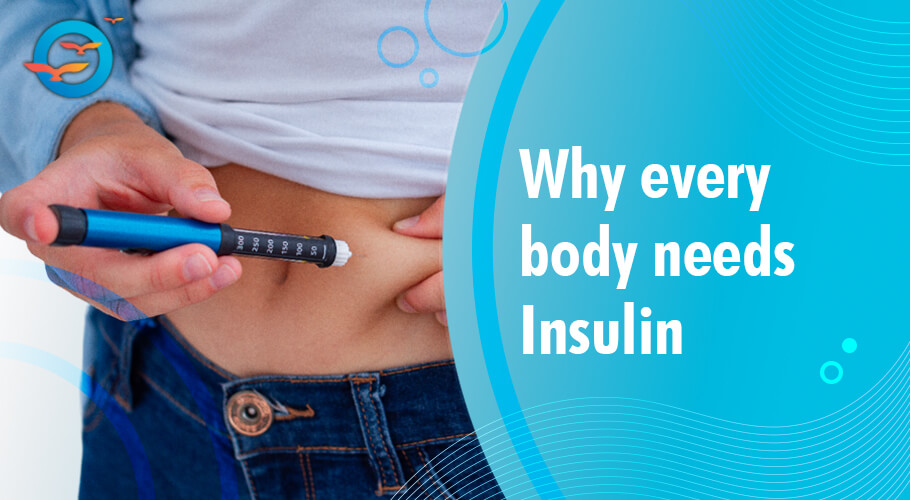 Diabetic: Insulin and its importance - Freedom from Diabetes
